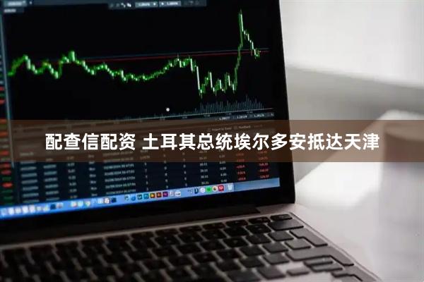 配查信配资 土耳其总统埃尔多安抵达天津