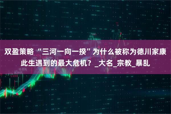 双盈策略 “三河一向一揆”为什么被称为德川家康此生遇到的最大危机？_大名_宗教_暴乱