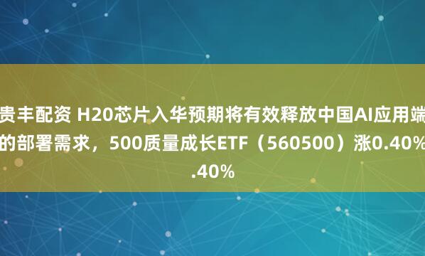 贵丰配资 H20芯片入华预期将有效释放中国AI应用端的部署需求，500质量成长ETF（560500）涨0.40%