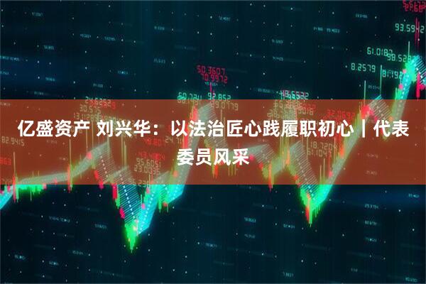 亿盛资产 刘兴华：以法治匠心践履职初心｜代表委员风采